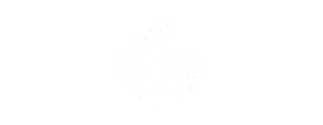 NASA logo